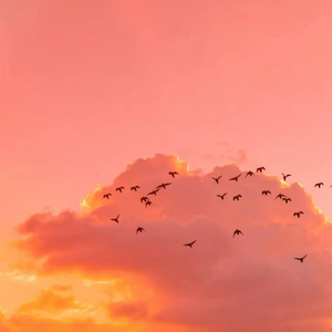 扒开老师❌狂揉❌难受游戏
